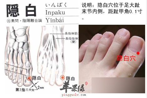 隐白穴穴位位置图