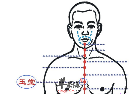 玉堂穴位位置图