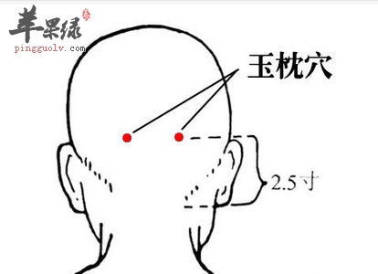 玉枕穴位位置图