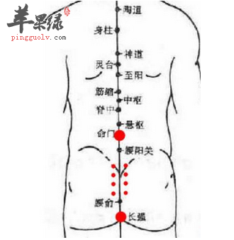 长强穴穴位位置图_长强穴的功效与作用_按摩手法 长强穴穴位位置图