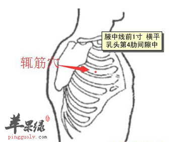 苹果绿 中医养生  1,缓解治疗喘息,肩臂痛,胸胁痛,吞酸,腋肿,呕吐等.