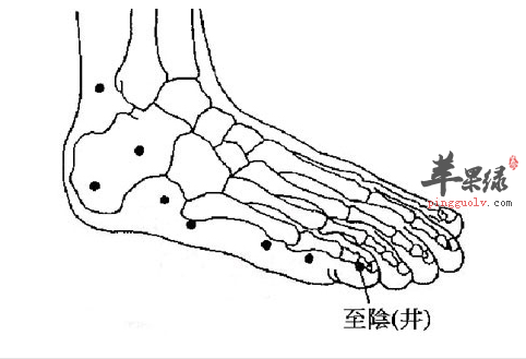 3,按摩至阴穴的功效: 开窍苏厥,散热生气, 理气 活血,正胎 催产,清头