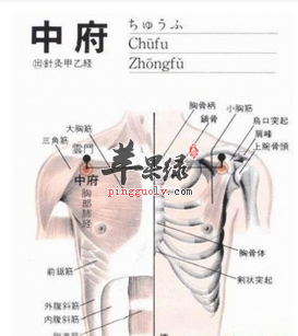 中府穴位位置图