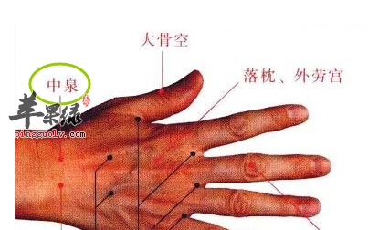 中泉穴穴位位置图_中泉穴的功效与作用_按摩手法