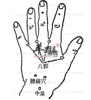 中泉穴穴位位置图_中泉穴的功效与作用_按摩手法