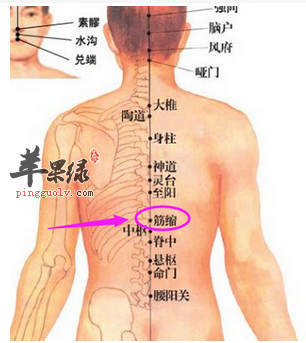 中枢穴穴位位置图_中枢穴的功效与作用_按摩手法