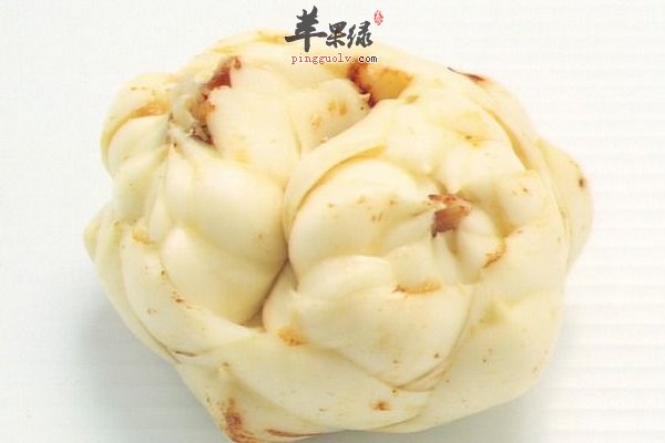 【食谱女性吃美容养颜】做法_百合吃法_v食谱夹菜谱图片