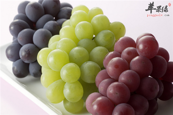 孕妇多吃葡萄的5大益处要知道_苹果绿