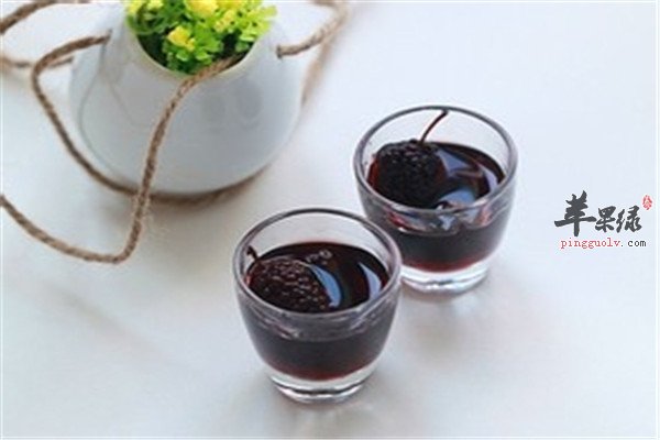 桑葚子泡酒--明目补肾增强免疫力