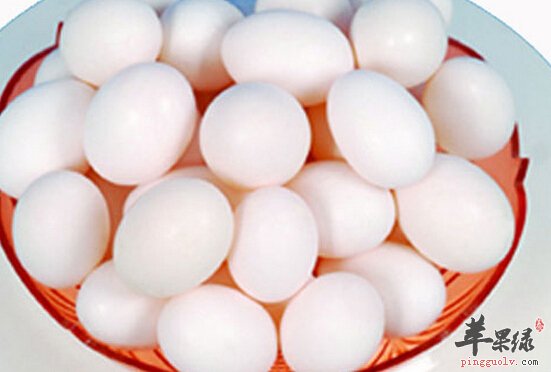 鸽蛋的营养价值及食用方法_鸽蛋的功效与作用