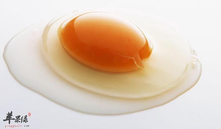 蛋黄的营养远远高于蛋清 这是真的吗_苹果绿