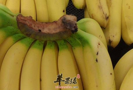 有斑点的香蕉有没有营养 能吃吗