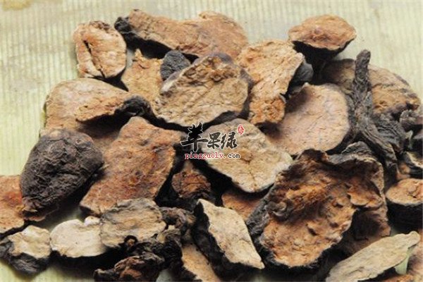 何首乌泡茶喝的副作用