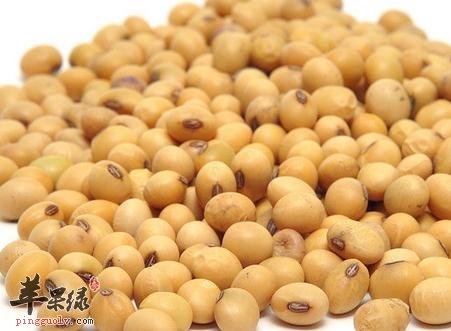 常吃黄豆可以预防哪些的疾病