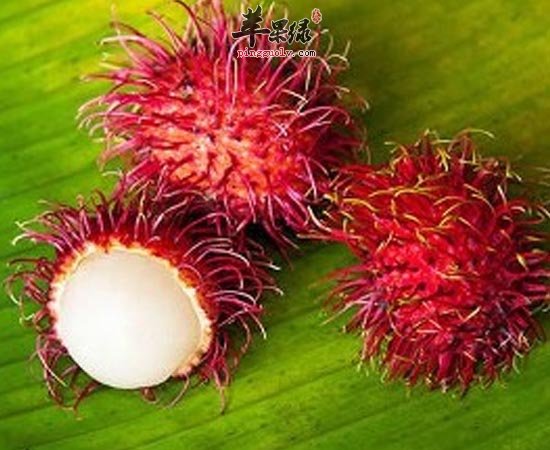 红毛丹可清热解毒补铁增强免疫力