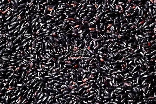 黑米食用方法及食用贴士 黑米功效与作用