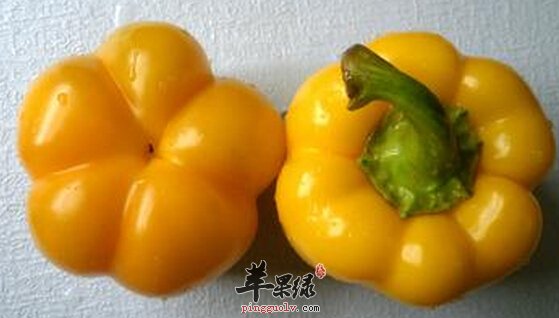 甜椒的功效与作用及食用方法_甜椒的营养价值