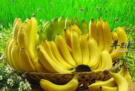 老年人记忆力不好吃什么预防