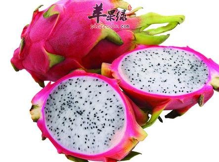 脆炸火龙果--补充营养帮助消化