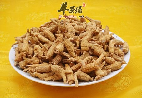 一般什么人不能吃西洋参