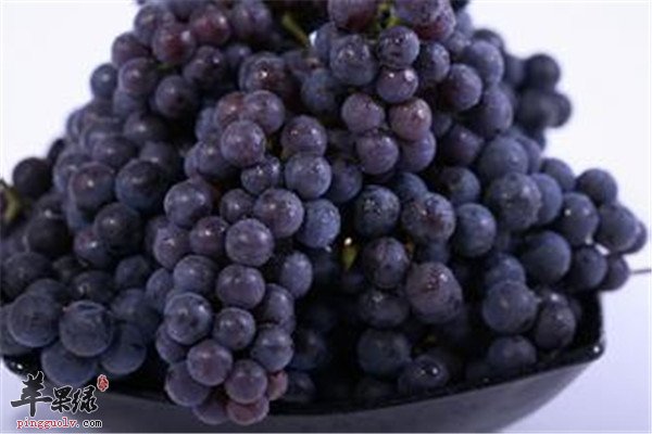 紫葡萄的营养价值及适合人群