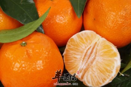 柑橘类水果美味可口 有哪些功效