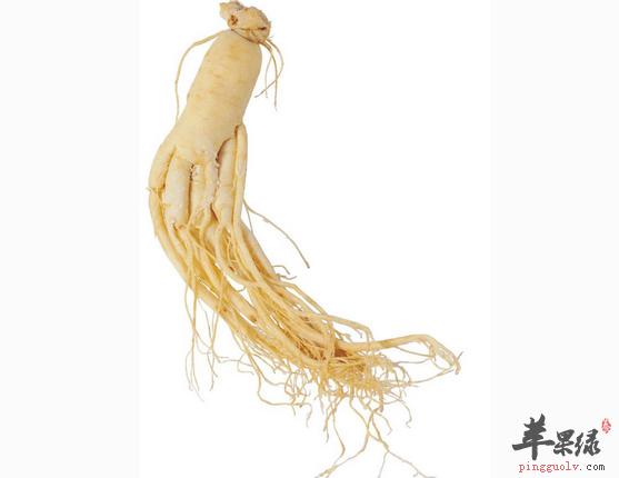 中药大全 人参南方地区,秋冬季之时,大人往往主动给孩子服用人参汤