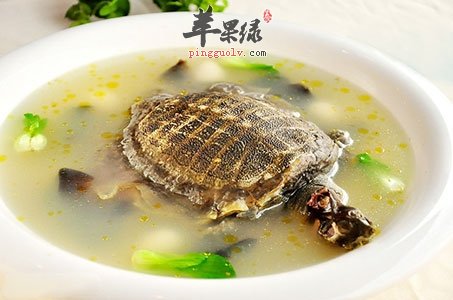清炖甲鱼汤的方法