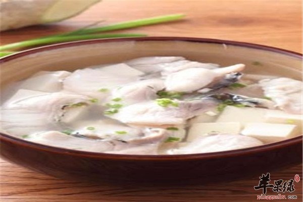 鱼片豆腐汤——健脾补虚清热润燥