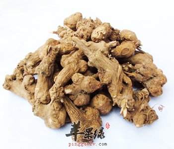 鲜地黄和生地黄的区别 有这些神奇功效