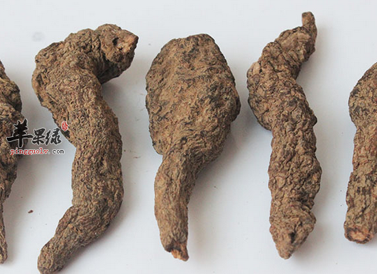地黄的食疗作用和副作用有哪些