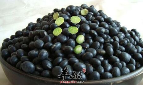 女性常常食黑豆能美容养颜防便秘