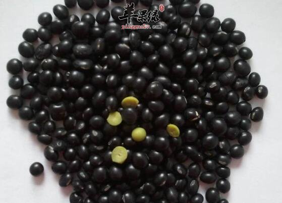 常吃黑豆可以帮助人们消灭小肚子
