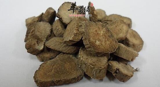 川牛膝的功效与作用