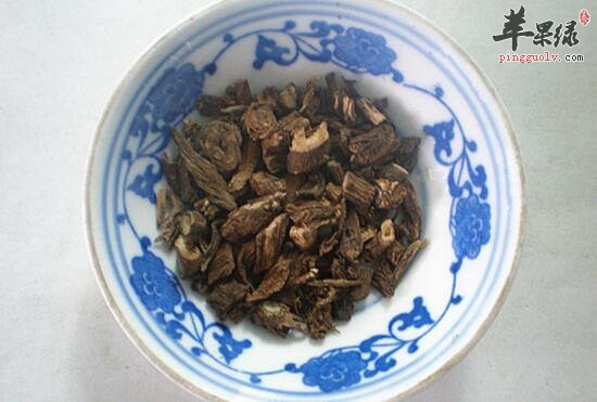 川续断的功效与作用