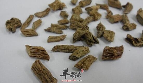 川续断的功效与作用