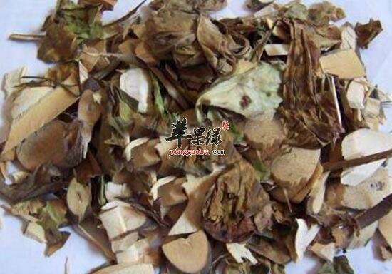 驳骨丹的功效与作用