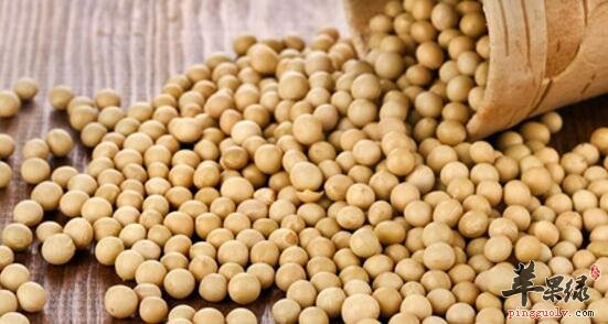 大豆的功效与作用