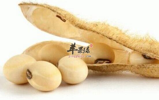 大豆的功效与作用