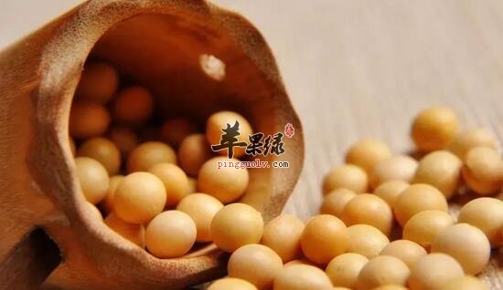 大豆的功效与作用