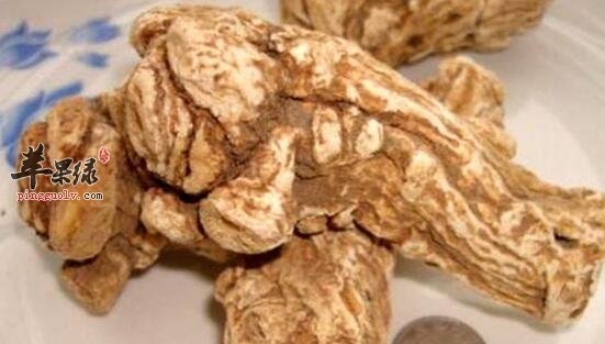 波棱瓜的功效与作用