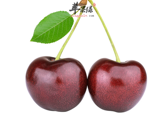 孕妇也可以吃樱桃吗 要注意的事项_苹果绿