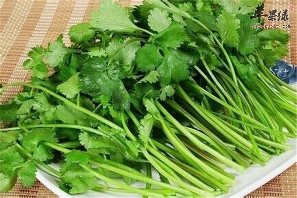 苹果绿 食材大全 营养价值 4腐烂,发黄的香菜不要食用,因为不仅没有