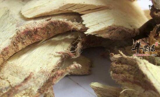 白背叶的功效与作用