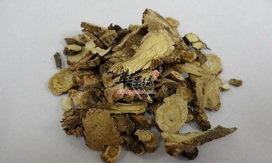 白花前胡的功效与作用