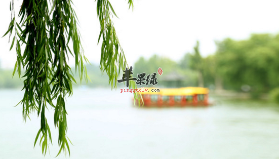 垂柳的功效与作用