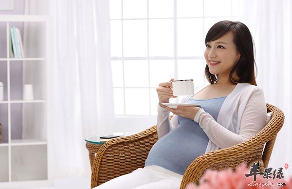 孕妇晚期的食谱我们可以试试这些_苹果绿