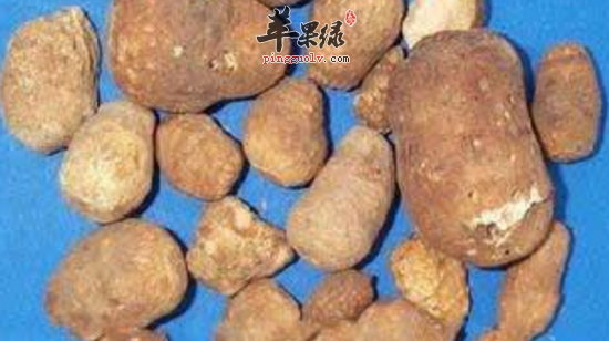 独角莲的功效与作用