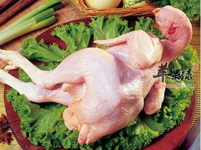 多吃鸡肉能够有效提高免疫力