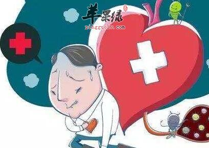 补心的食物有哪些